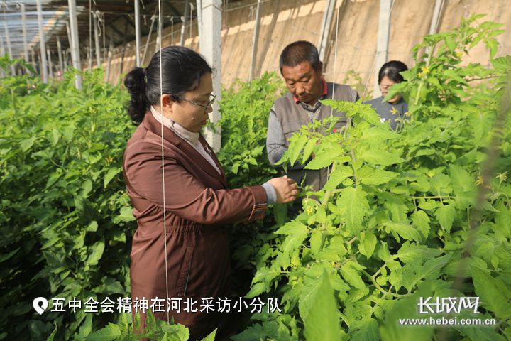 长城网专题报道我校太行山农业创新驿站