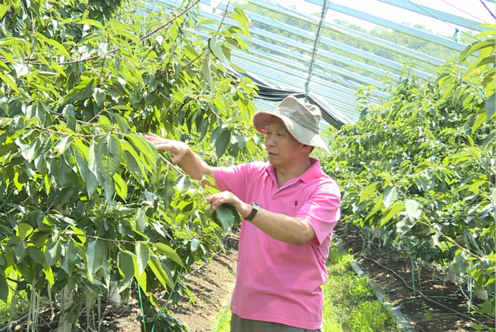 【“他们奔走太行”系列报道①】“苹果教授”孙建设：农业驿站看护人